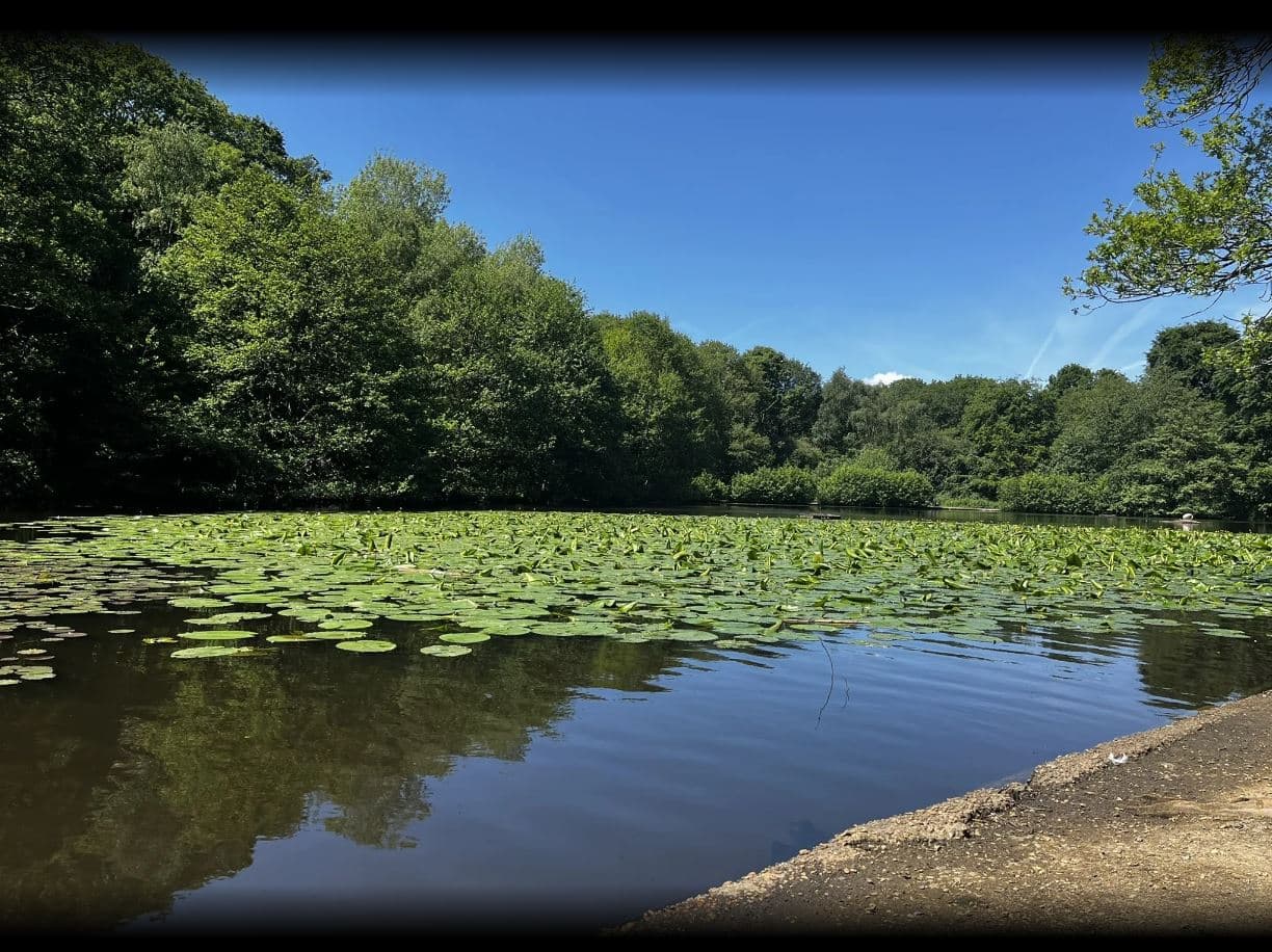 Wimbledon Common